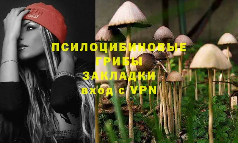 Галлюциногенные грибы MAGIC MUSHROOMS  купить наркотик  Карталы 